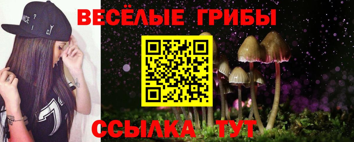 Галлюциногенные грибы Psilocybine cubensis Южноуральск