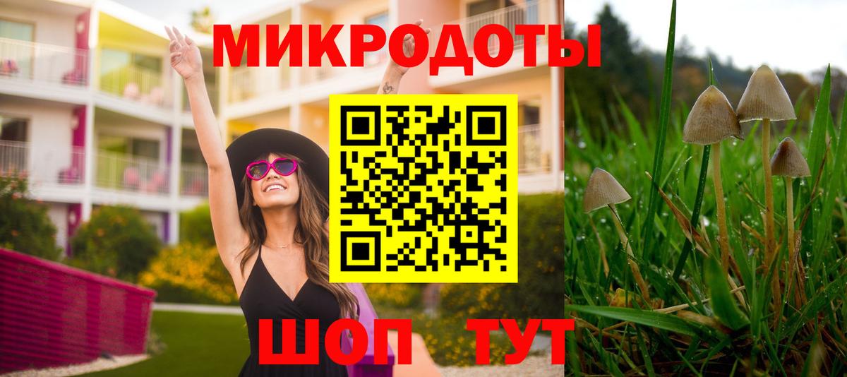 Южноуральск  Галлюциногенные грибы Psilocybe  Вход с VPN 